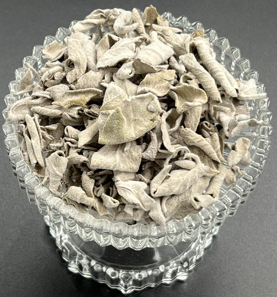 Thymian/Thyme/Thymus vulgaris – Bild 2