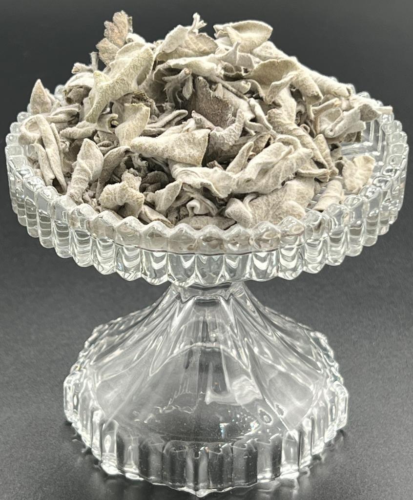 Thymian/Thyme/Thymus vulgaris