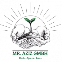 mr-aziz-logo